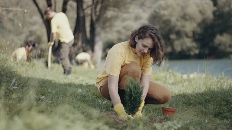 Best Stump Grinding and Removal  in Coyne Center, IL