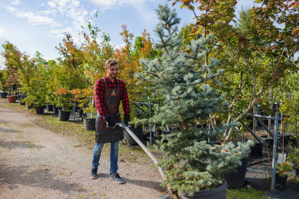 Best Fruit Tree Pruning  in Coyne Center, IL